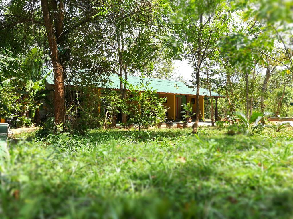 Sigiri La Veranda Lodge Kibissa Exteriör bild