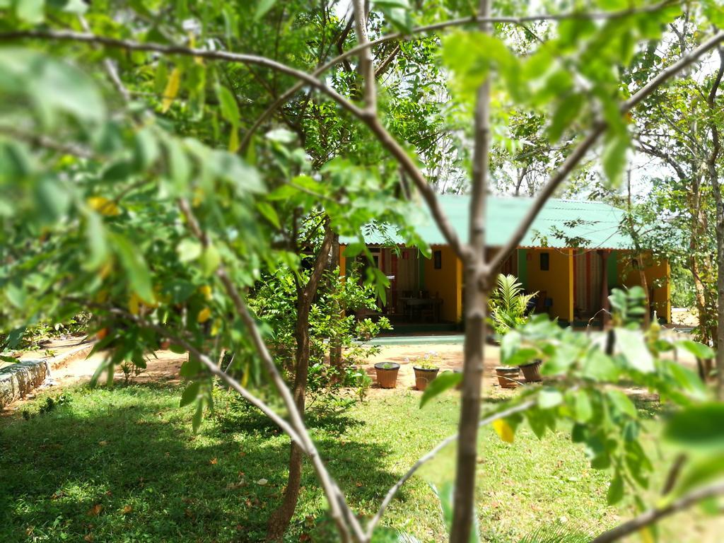 Sigiri La Veranda Lodge Kibissa Exteriör bild