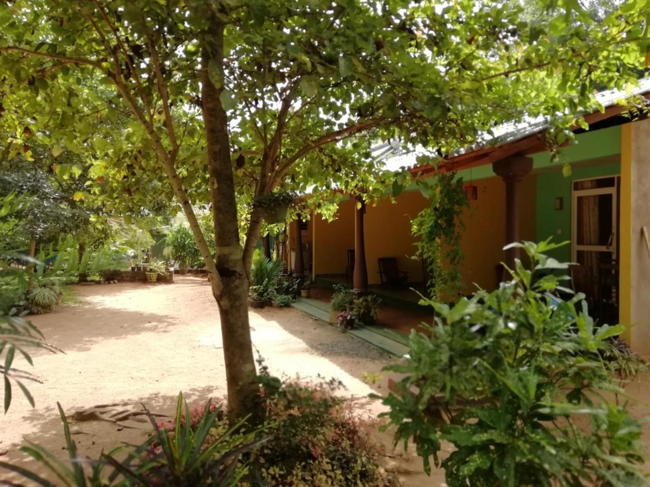 Sigiri La Veranda Lodge Kibissa Exteriör bild