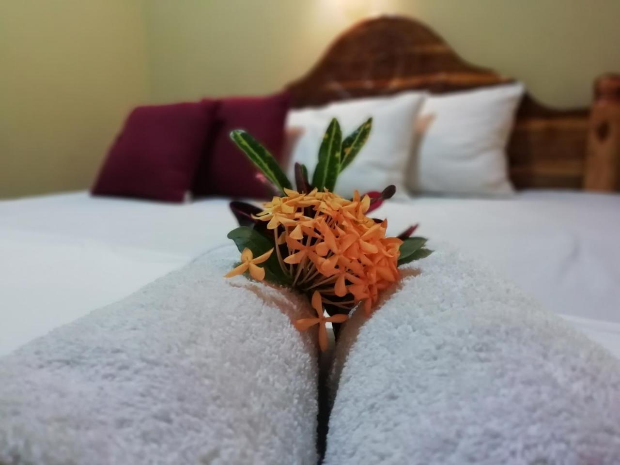 Sigiri La Veranda Lodge Kibissa Exteriör bild
